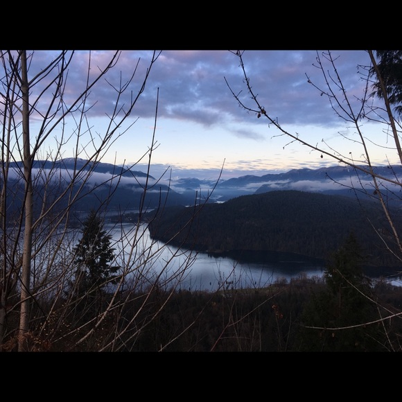 Meet your Posher, Sophie - Picture 1 of 1